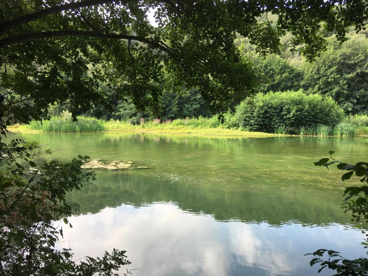 Coeur De Nature Rasigueres Экстерьер фото