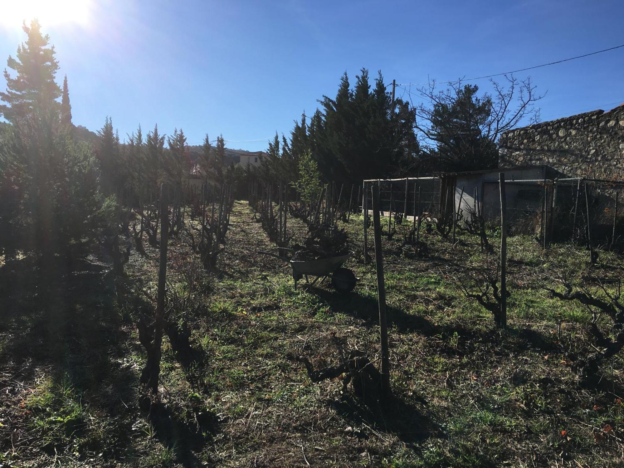 Coeur De Nature Rasigueres Экстерьер фото
