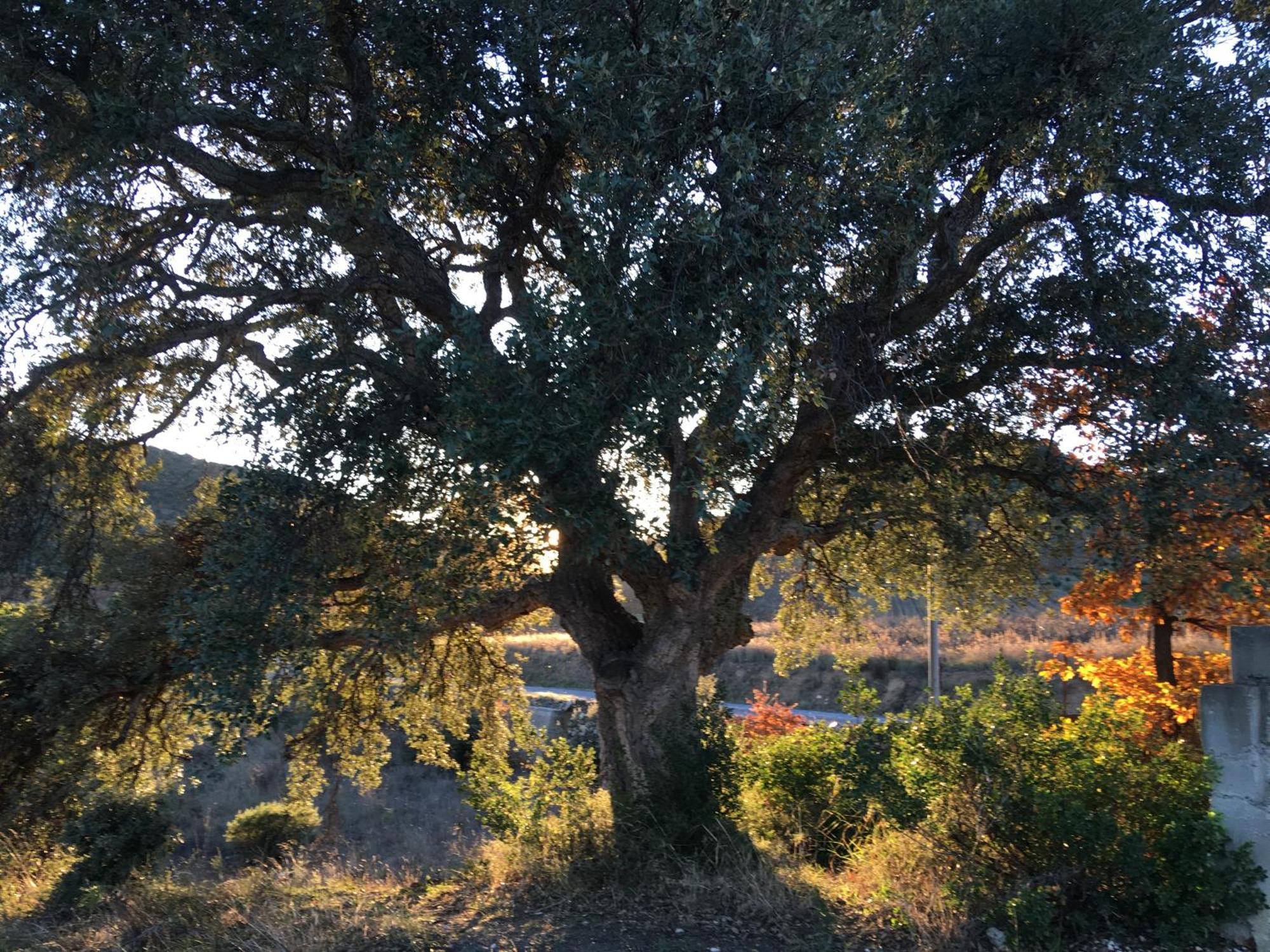 Coeur De Nature Rasigueres Экстерьер фото
