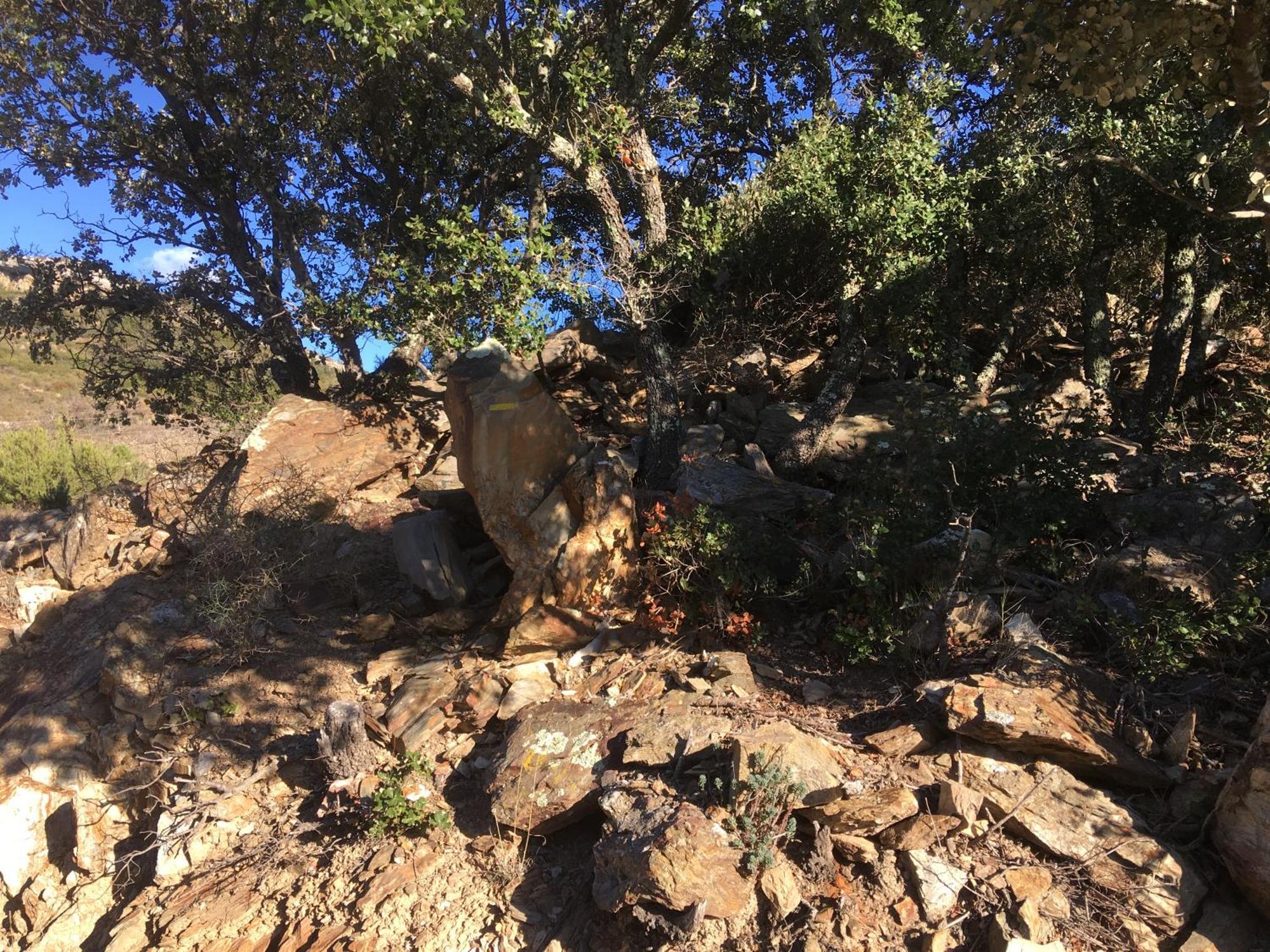 Coeur De Nature Rasigueres Экстерьер фото